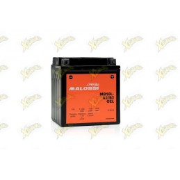Batteria litio LiFePO4 BS Battery BSLi-08 12V-300A, 5Ah