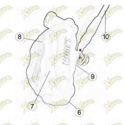 Piston kit Ohvale 03.IF.0053.L