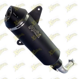 Polini catalytic exhaust...