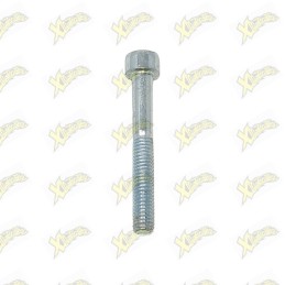 Ohvale Screw TCEI M6X45 160...