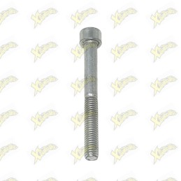 Ohvale Screw TCEI M6X55 160...