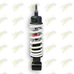 Malossi RS3 front shock...