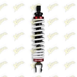 Malossi rear shock absorber...