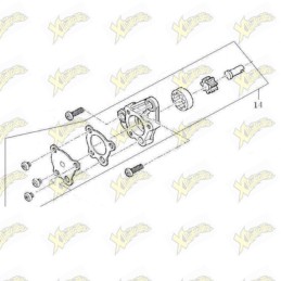 Ohvale Oil pump assy...