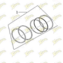 Ohvale Piston ring complete...