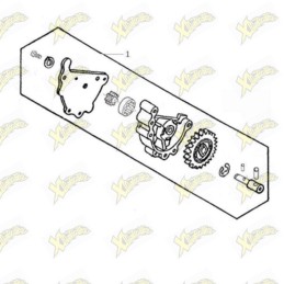 Ohvale Oil pump assy...