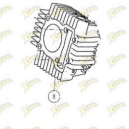 Cilindro 212 Ohvale Gp-0...