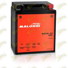 Malossi battery 4419723...
