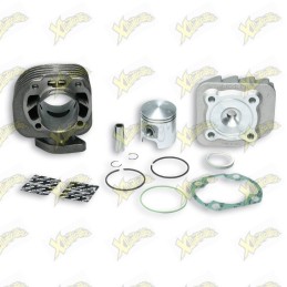 Malossi cylinder kit...