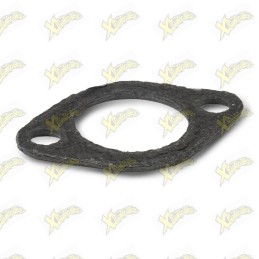 Malossi exhaust gasket...