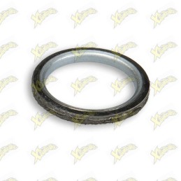 Malossi exhaust gasket...