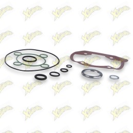 Complete Malossi gasket kit...