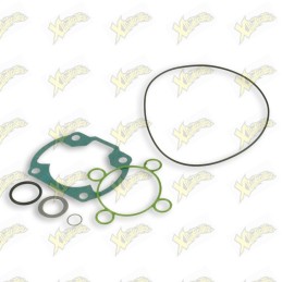 Complete Malossi gasket kit...