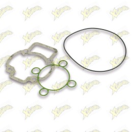 Complete Malossi gasket kit...