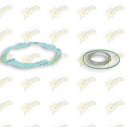 Complete Malossi gasket kit...