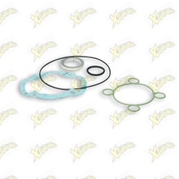 Complete Malossi gasket kit...