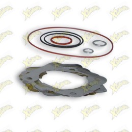 Complete Malossi gasket kit...