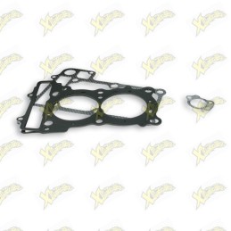 Complete Malossi gasket kit...