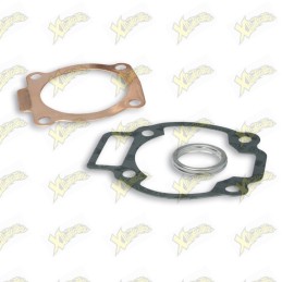 Complete Malossi gasket kit...