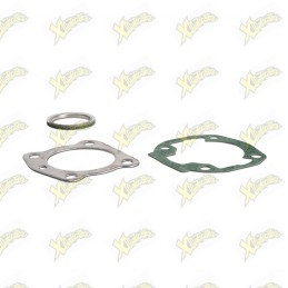 Complete Malossi gasket kit...