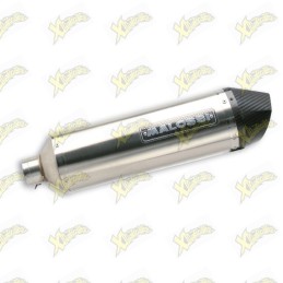 Malossi naked silencer 3217879