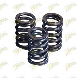 Polini valve springs (3...