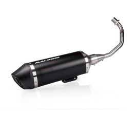 Malossi RX Black exhaust...