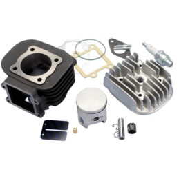 Polini cylinder kit...