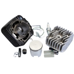 Polini cylinder kit...