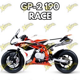 Ohvale gp-2 190cc 4t RACE 2025