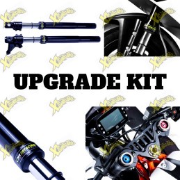 Ohracing fork upgrade kit...