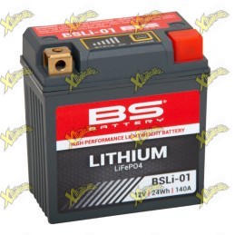 LITHIUM BATTERY BSLi-01...