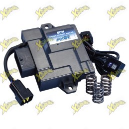 Polini ECU Aprilia SXR 50...