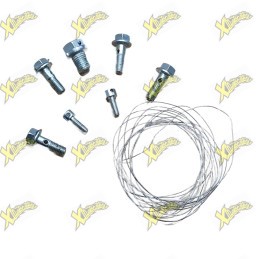 Ohvale Holed screws kit 160...