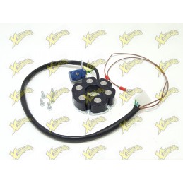 Polini ignition stator for...