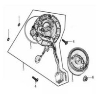 Gruppo Statore Ohvale